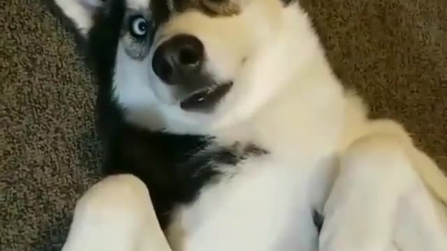 When you are told you have to go to work on weekend