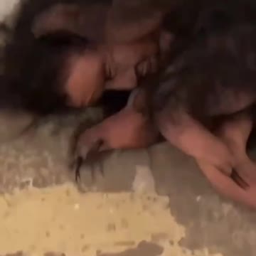 D.U.M.B. Cloning Experiments