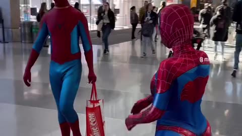 Spiderman spider spider 🕷️🕸️
