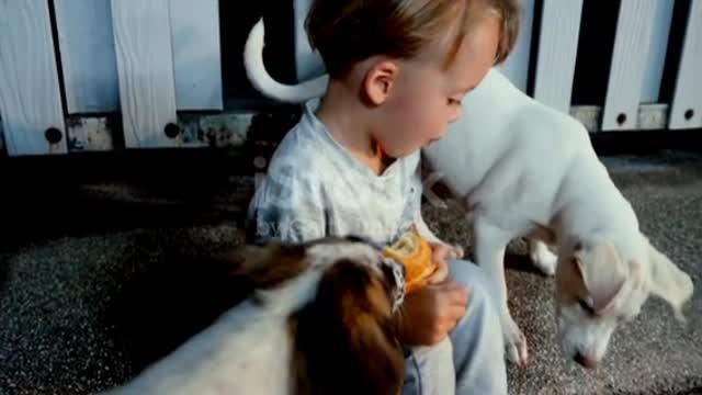 Child eating bun and playing with dogs,❤️