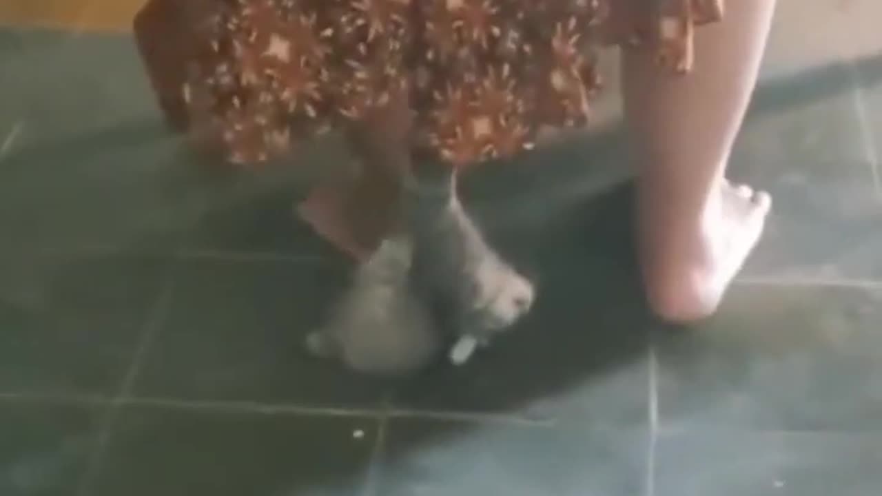 funny meme 01