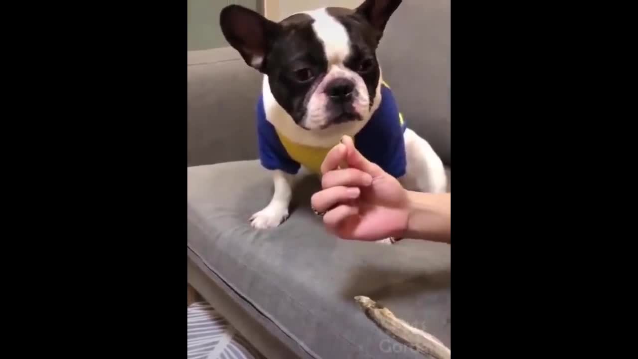 what?? give it ti me...