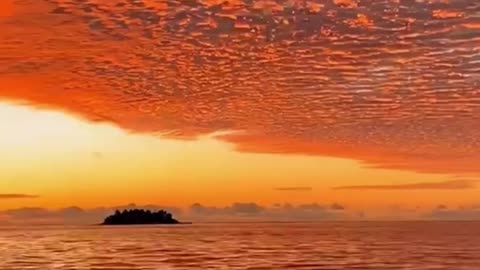 Today's sunset is very gentle, the wind is intoxicating.