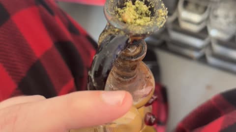 Day 109 It already feels warmer than yesterday lol