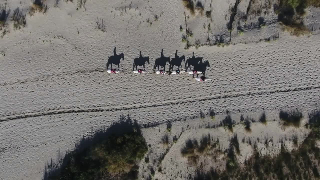 Shadow of horses walking on the sand during a ride in France