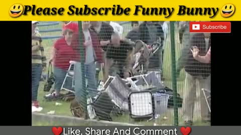 Crazy bull fight with man/ Totally funny video