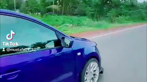Polo GTI