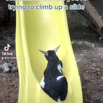 When life is challenging