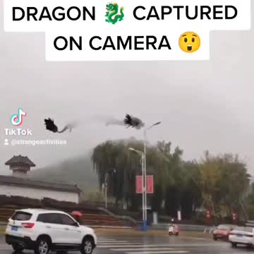 Dragon captured on camera but still looks fake to me