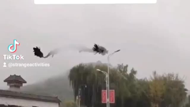 Dragon captured on camera but still looks fake to me