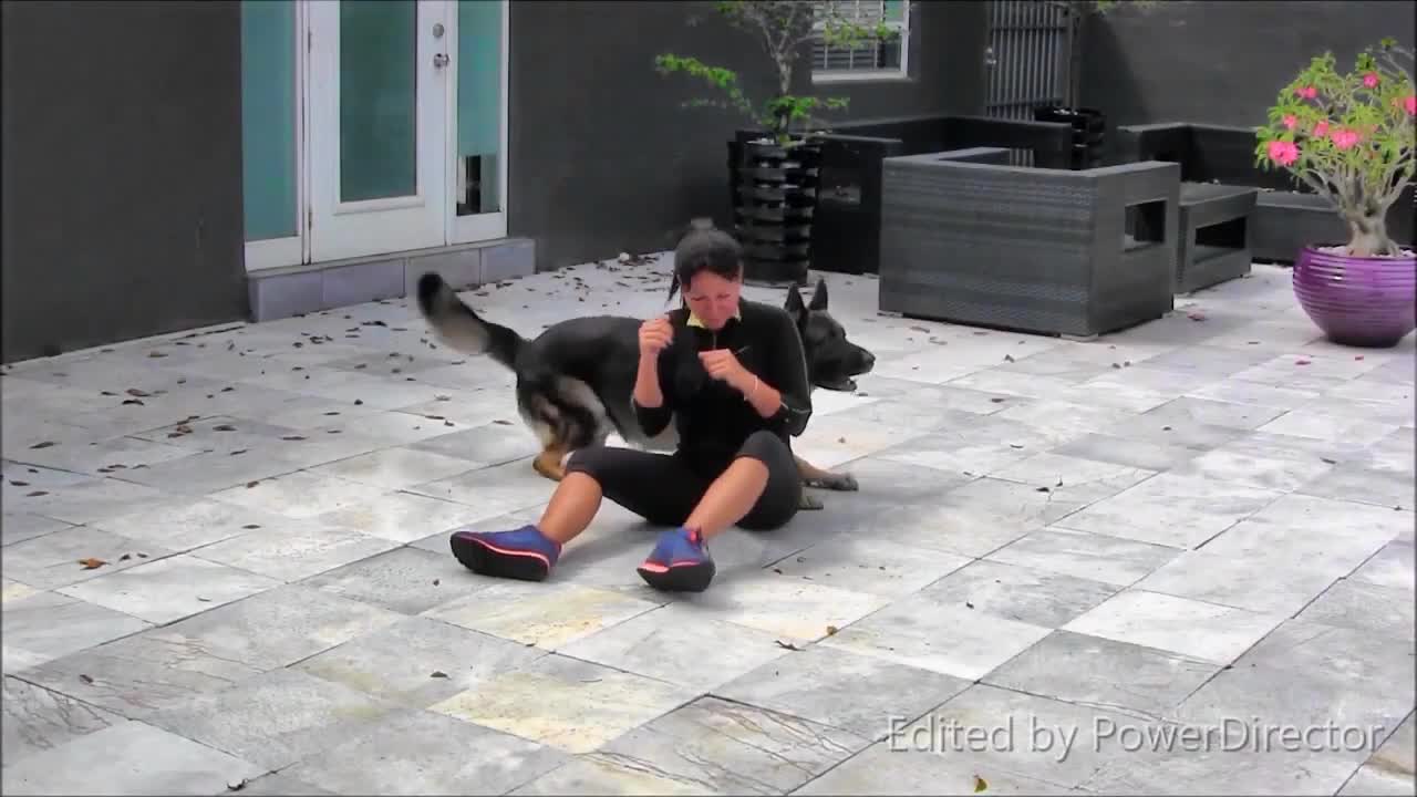 How to train your Dog..