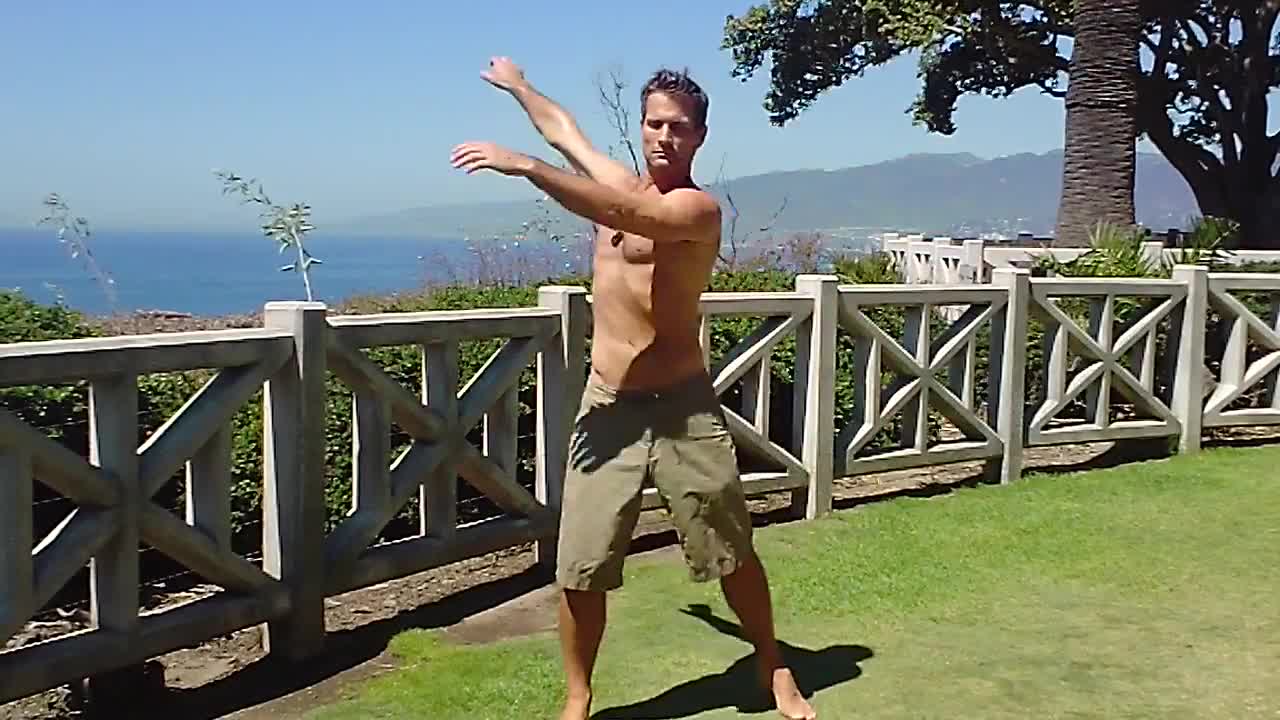 Tai Chi ZEN SWING. Paul Chek's "working in" vs working out.