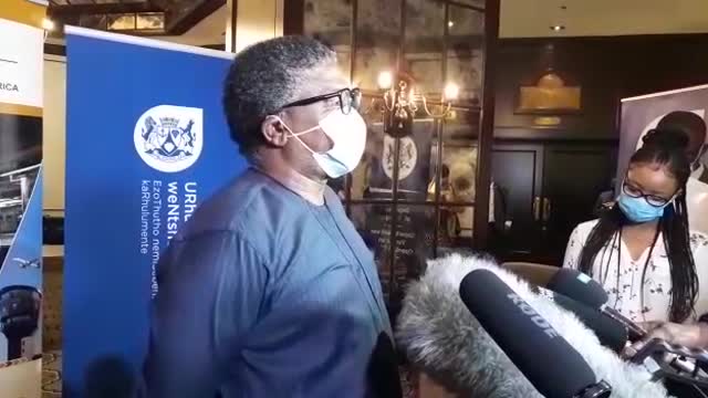 Transport Minister Fikile Mbalula's taxi plan