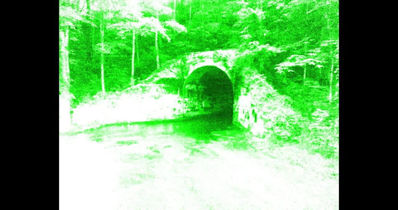 Using a Trail Camera at Sensabaugh Tunnel