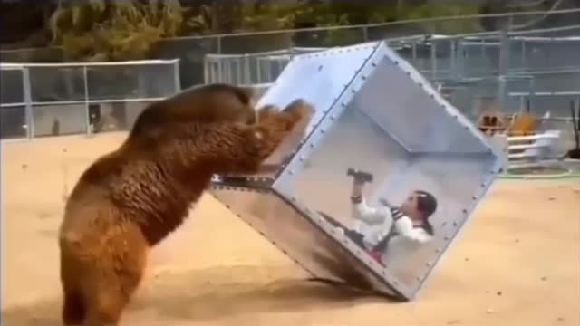 Girl Photographer stuck in box attacked by the beer