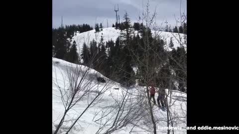 Gold black ski tree crash