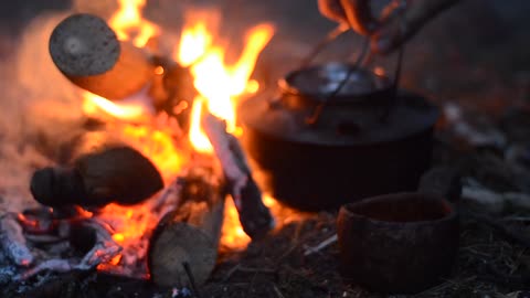 6 Days bushcraft in a forest