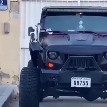 Angry cats 🤣🤣🤣🤣