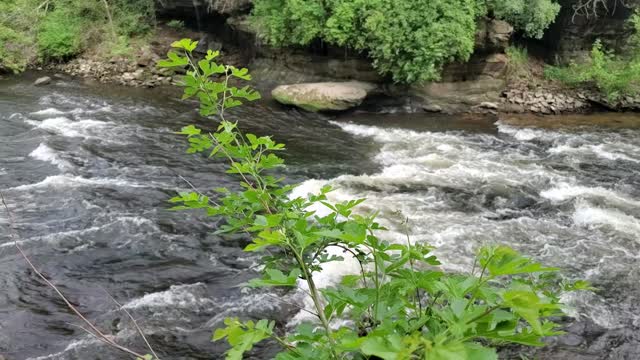 Watch a Super Fast Cascading Waterfall.