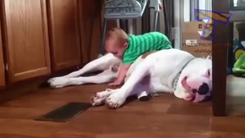 Funny baby playing with dog