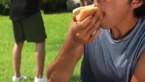 Endless hot dog