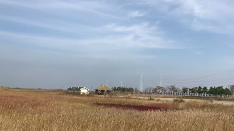 Daebudo Park in South Korea