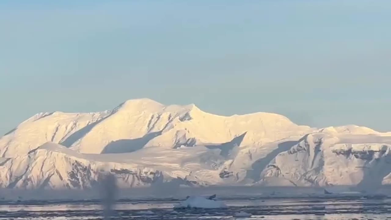 The Antarctic Ocean is one of the most productive marine ecosystems on Earth #Antarctica #OceanWeek