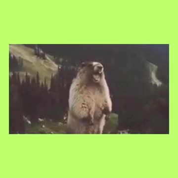 When FSBOs are juggling all the things...