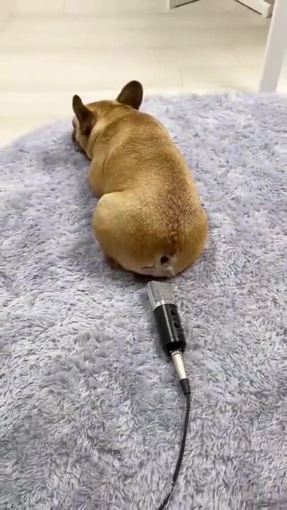 Wait For it!!!! 😂 😂 😂