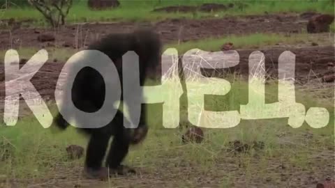 УГАР! ТЕСТ НА ПСИХИКУ ПОПРОБУЙ НЕ ЗАСМЕЯТЬСЯ! ЗАСМЕЯЛСЯ ПОДПИСАЛСЯ! ЛУЧШИЕ ПРИКОЛЫ 2021! #5