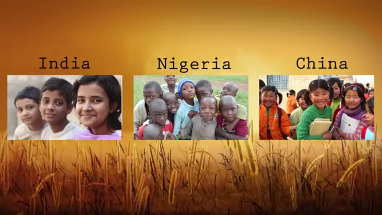 The End Of White Countries, The Way Forward