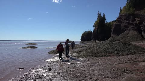 Canada Backlit Tourists At Hopewell Rocks