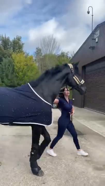 The cutest little toddler horse rider and her pony