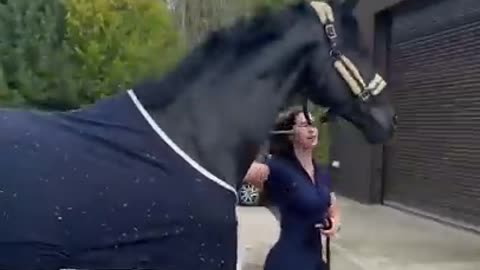 The cutest little toddler horse rider and her pony