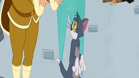 Tom and Jerry in Arabic is fun, entertainment, misery and endless conflicts