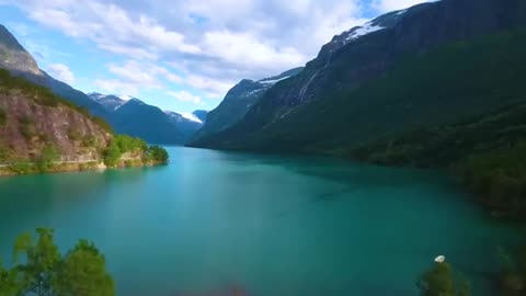 Best video of nature