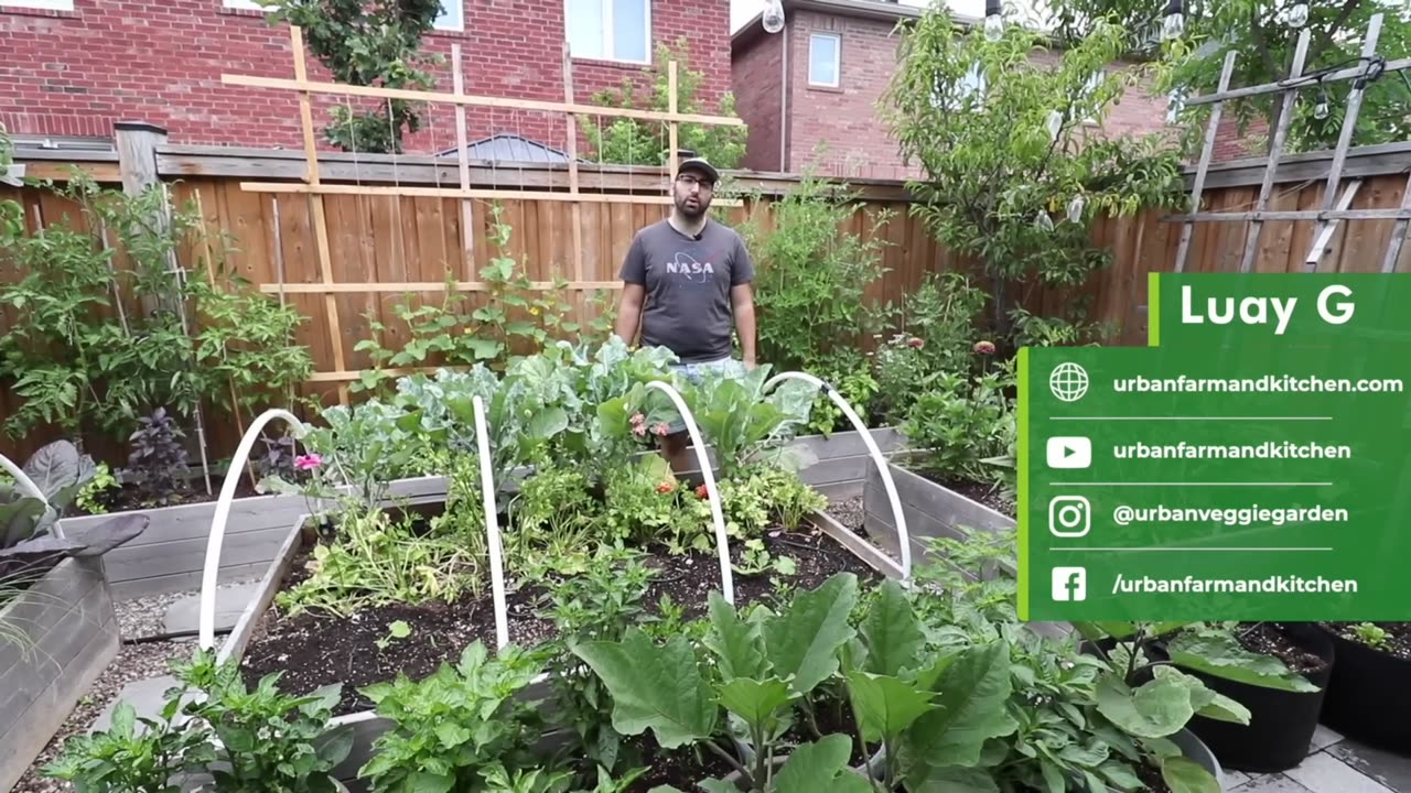 Best Gardening Advise