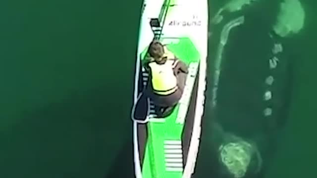 WE LIVE IN A MAGICAL WORLD.