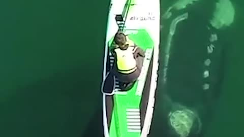 WE LIVE IN A MAGICAL WORLD.