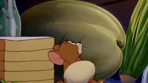 Tom and jerry