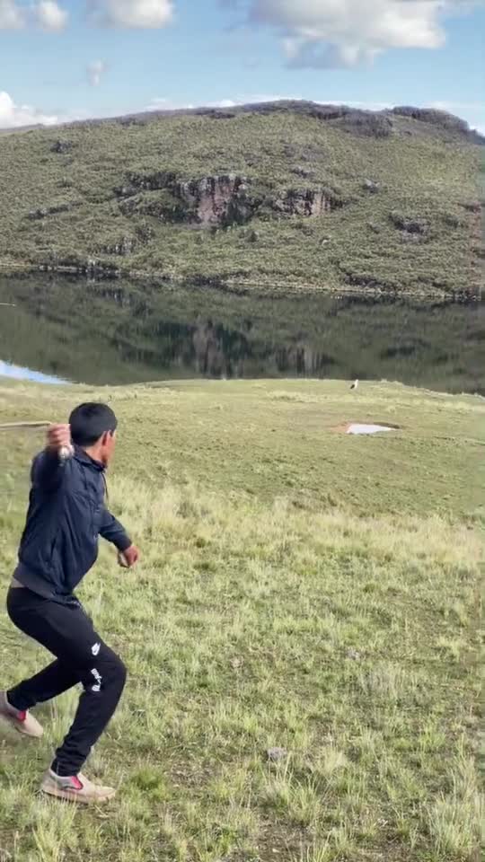 funny|prank|jokes|funny jokes|dad jokes|funny memes|funny video|fun|laughing|funny animal|knock