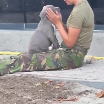 💛 Ukrainian military at their best both on the battlefield and in everyday life