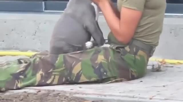 💛 Ukrainian military at their best both on the battlefield and in everyday life