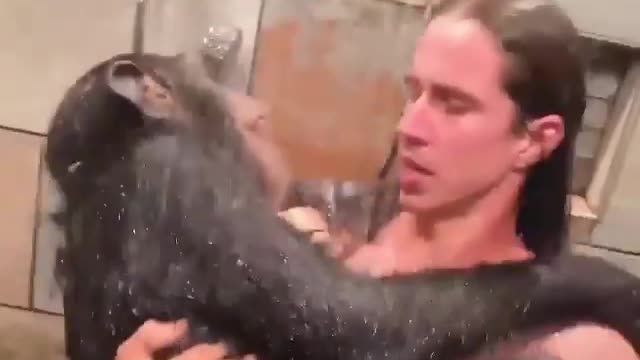 Monkeys are doing a strange thing