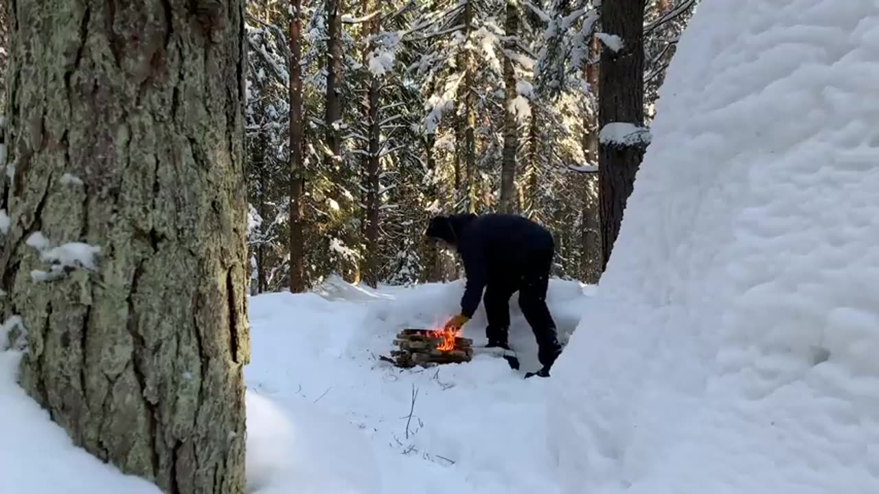 SOLO WINTER Camp - IGLOO Build - CHAGA Harvesting - Snow Shelter - Snowfall