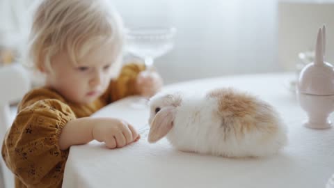 **Child Feeding a Rabbit**