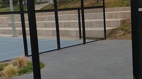 Sports Area in a Santiago Park 🤸🇨🇱