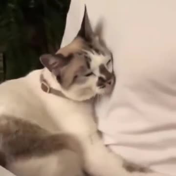 True love Does this hug remind you of someone?