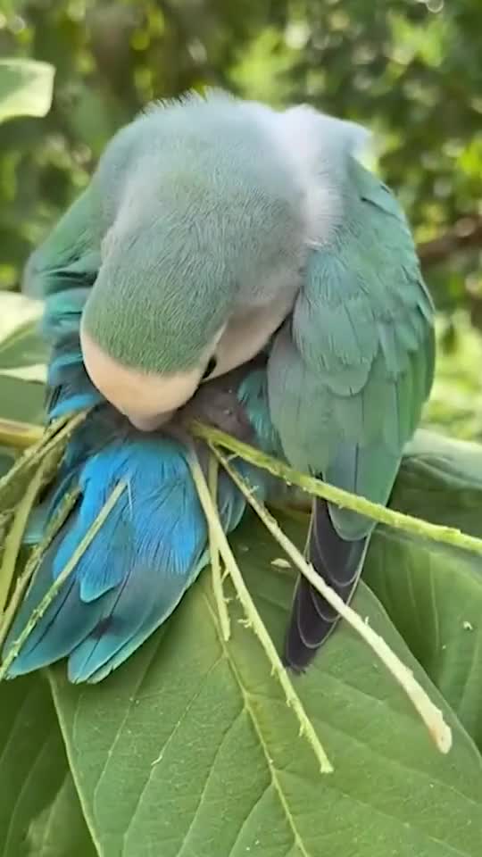 Thiên nhiên kỳ thú