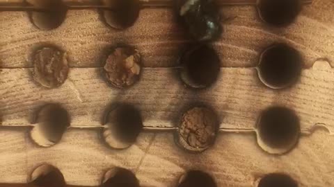 Mason Bee House Activity